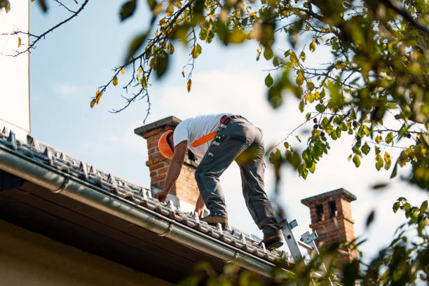 Best Sealant for Roof  in Oakland, MD