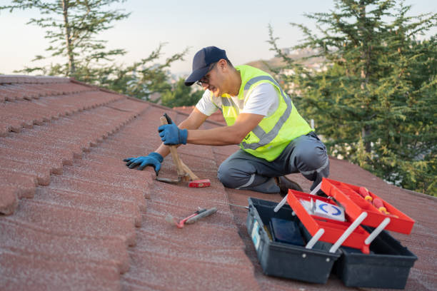 Best Roof Repair Services  in Oakland, MD